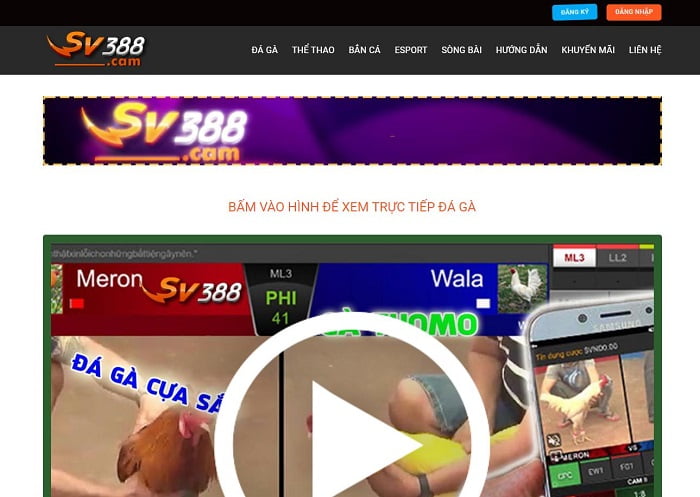 Tốc độ gửi và rút tiền đạt chuẩn Bet999 - Bet999