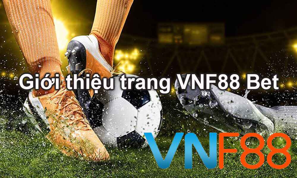 Chức năng sau khi tải xuống ứng dụng 6Ff - 6Ff
