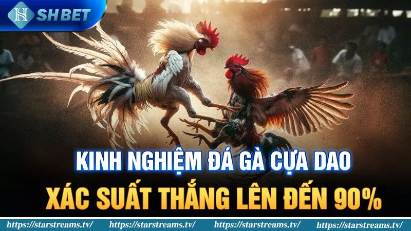 Các dịch vụ của Mu9 được cung cấp hoàn toàn tuân thủ các quy định hiện hành - Mu9