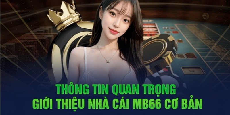 Các phiếu giảm giá Aw8 và những tính năng dành cho người chơi mới - Aw8