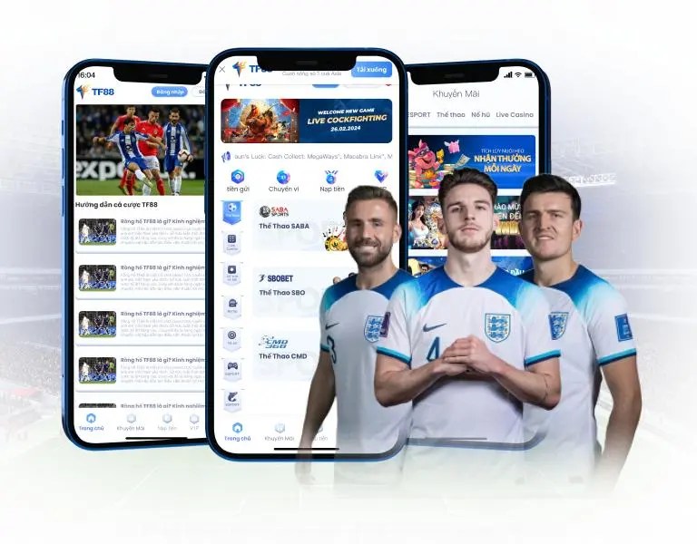 Kết luận của Công ty Game Bwin - Bwin