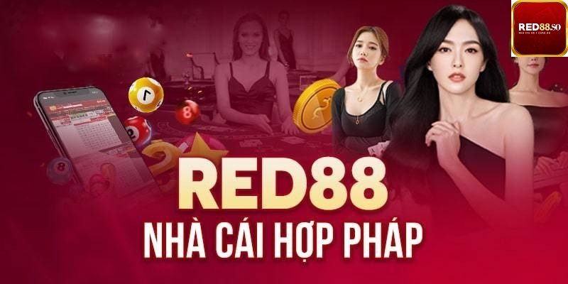 Tải ứng dụng Sbotop: Trải nghiệm cá cược trên di động - Sbotop