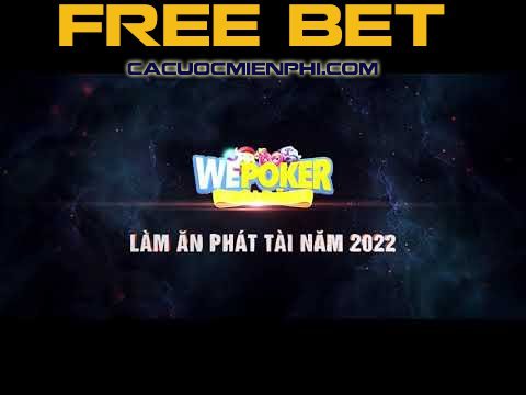 Phân tích chi tiết nền tảng Sbty - Sbty