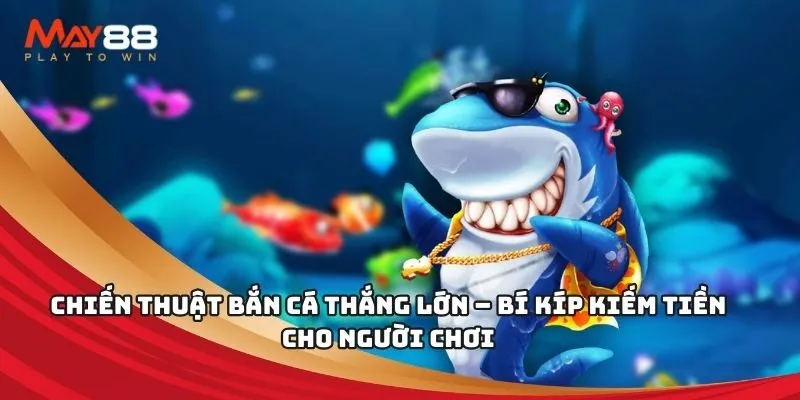Tìm hiểu thêm về V7sb - V7sb