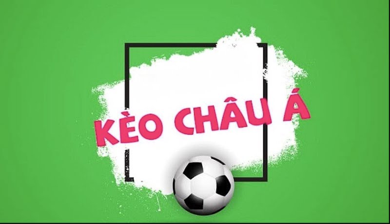 Các cuộc thi cá cược cấp độ 24N được lựa chọn - 24N