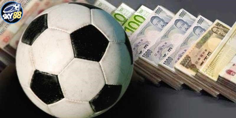 Các nhiệm vụ mà một đại lý cấp độ 89Bet 1 cần hoàn thành - 89Bet