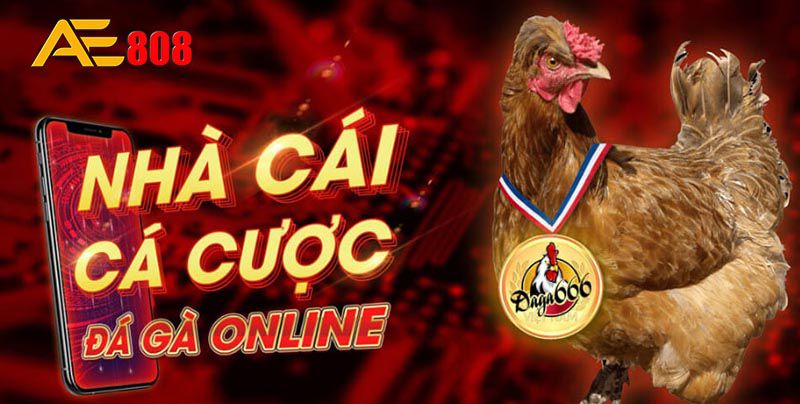 Lợi ích khi trở thành thành viên của trang web game Vt999 - Vt999