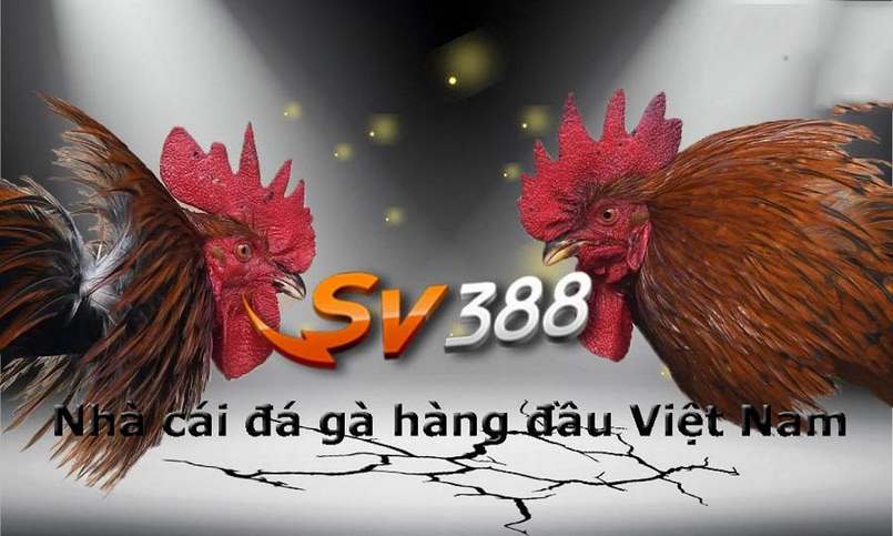 Giới thiệu Super918 đến khách hàng - Super918