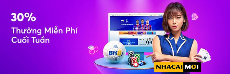 Tại sao bạn muốn tham gia một cuộc thi đá gà cấp độ Mu8? - Mu8