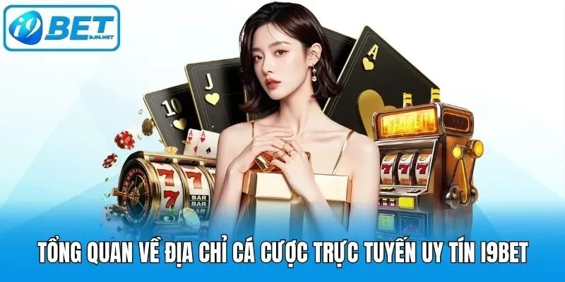 Tổng quan thông tin thể thao 365Vn - 365Vn