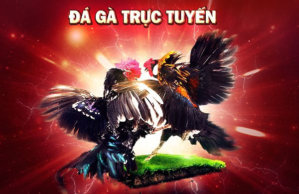 Tại sao bạn lại chọn chơi một tựa game được xếp hạng Yue88? - Yue88