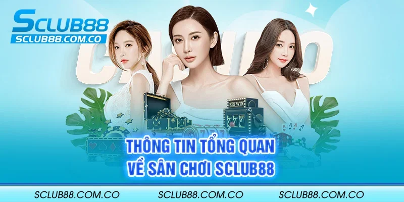 Tổng quan về các game di động cấp độ Jili - Jili