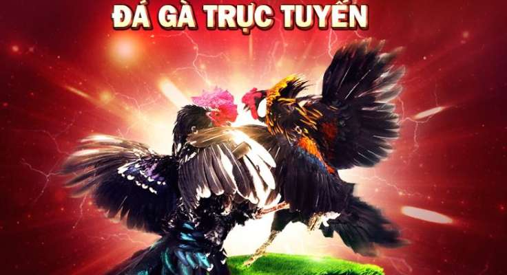 Sking88 cung cấp các trò chơi độc quyền và chất lượng cao - Sking88